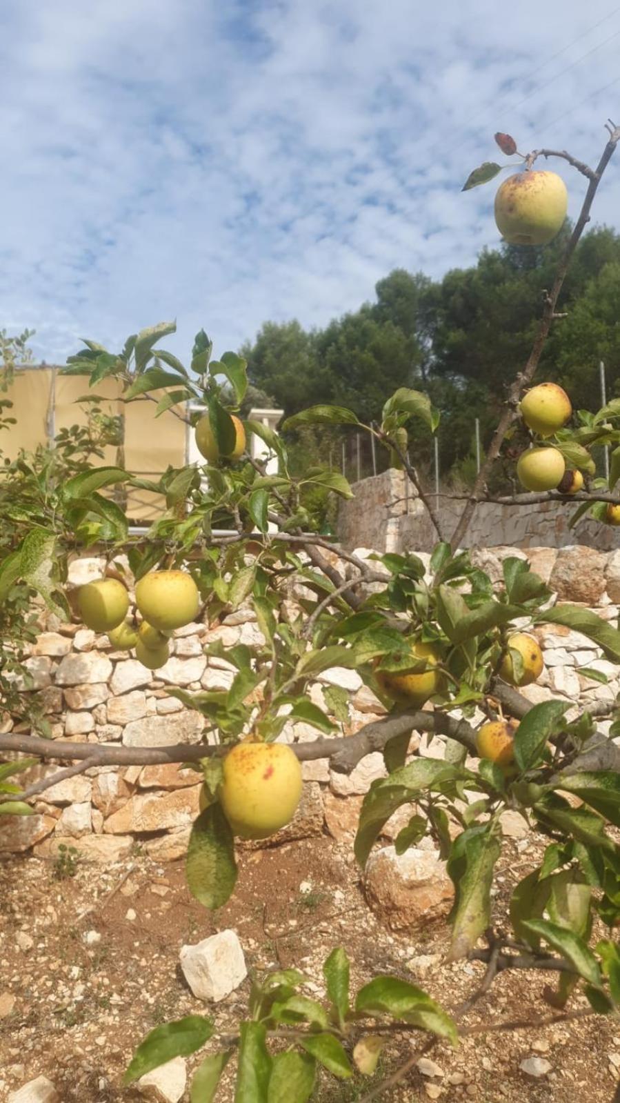 הוילה פאסאנו Trulli Vittoria מראה חיצוני תמונה